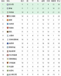 500彩票官网- 阿森纳终结曼城连胜领跑积分榜  